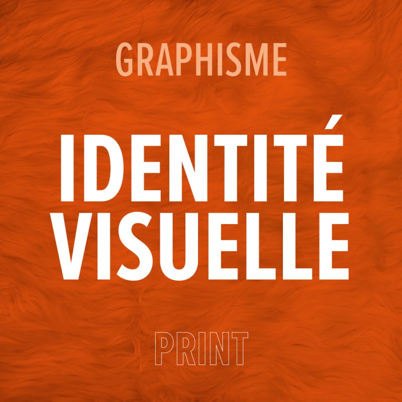 Identité visuelle, logo, charte graphique